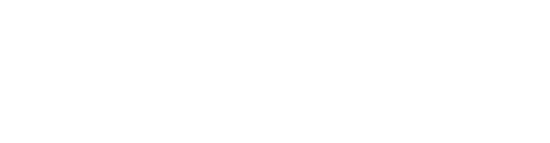 Logo of FinessCity on white