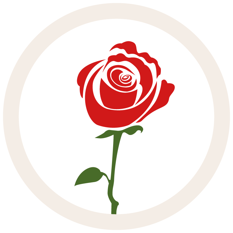 Seducta gift illustration of a red rose