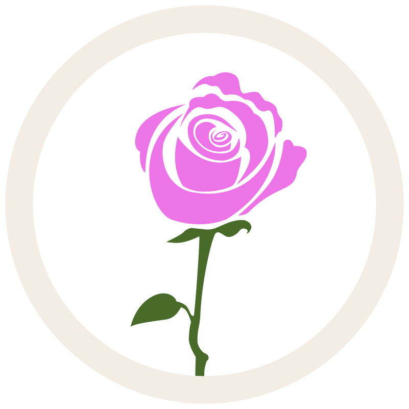 Seducta gift illustration of a pink rose