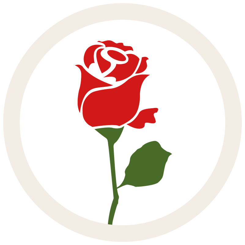 Seducta gift illustration of a red rose